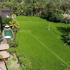 Byasa *** Ubud