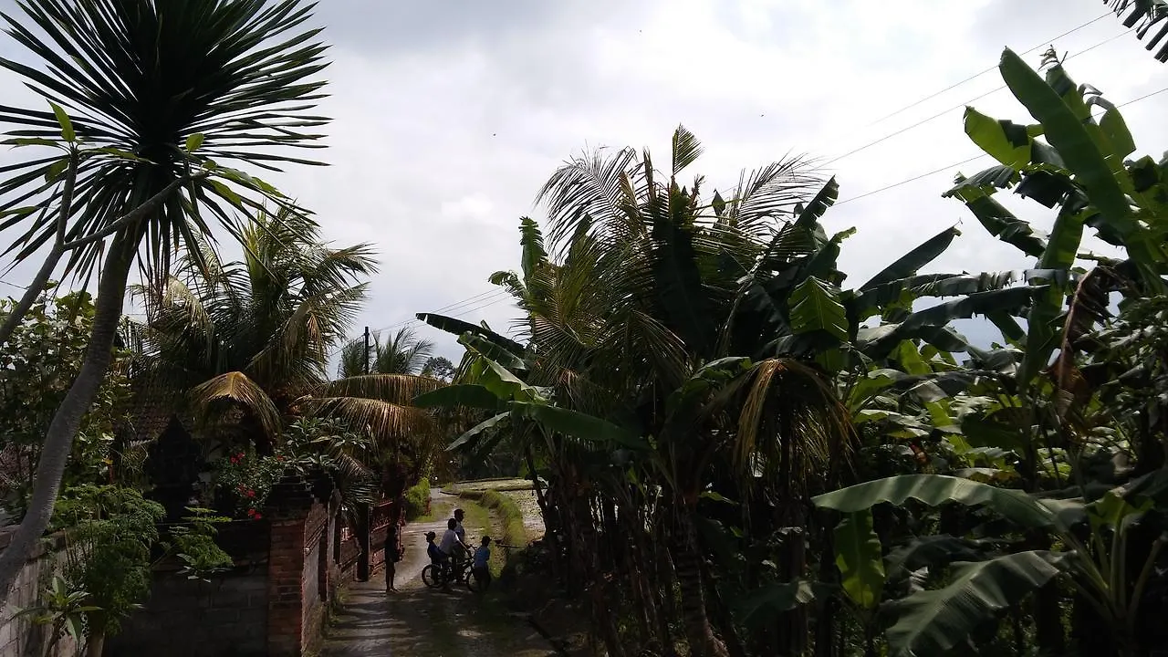 Kasih Sayang House Bed & Breakfast Ubud